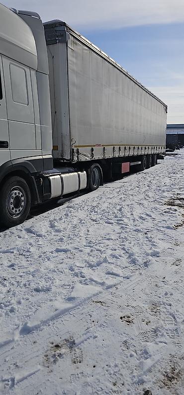 Тягачи: Тягач, DAF, 2019 г., Тентованный — 13