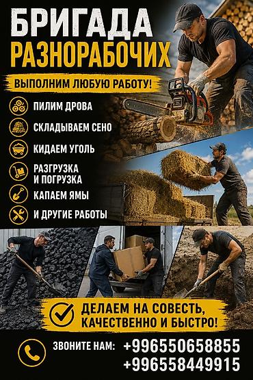 обрезка дерево: Мелкосрочные работы, Разнорабочий — 1