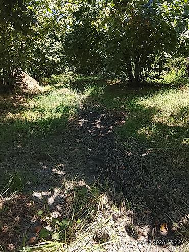 torpaq razin: Kənd təsərrüfatı, Kupça (Çıxarış) — 2
