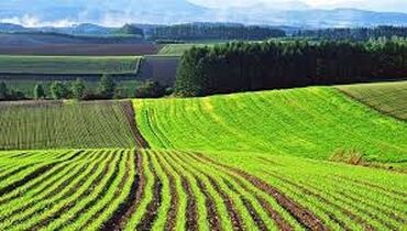 орошаемые земли: 200 соток Для сельского хозяйства