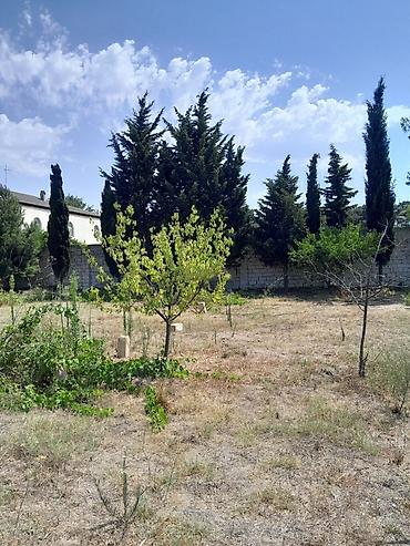 goredil: Görədil bağları, dəmiryol stansiyasına piyada məsafəsində, 3.7 sot — 1