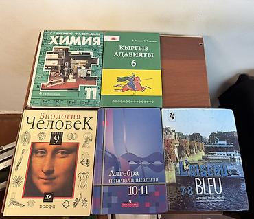 Книги и журналы: Подборка школьных учебников (9–11 классы и др.), преимущественно — 4