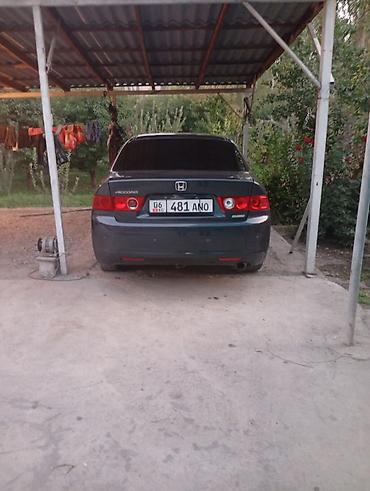 сетка для радиатора машины: Honda Accord: 2007 г., Механика, Бензин, Седан — 7
