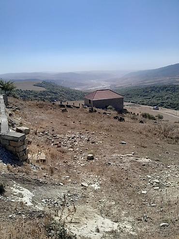 ev elanlari kirayə: 12 sot, Tikinti, Barter mümkündür, Kupça (Çıxarış) — 7