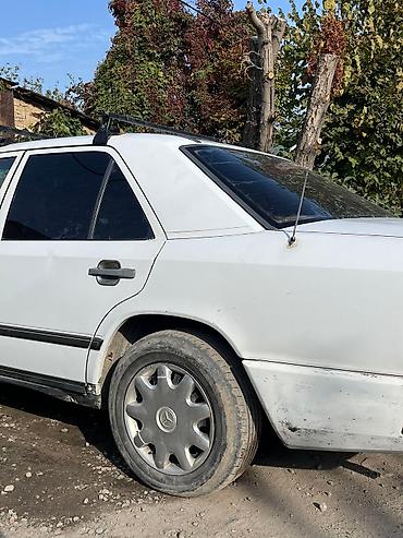 Mercedes-Benz: Mercedes-Benz W124: 1988 г., 3 л, Механика, Дизель, Седан — 5