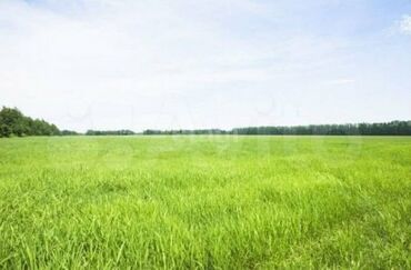 чалдовар продажа домов: Айыл чарба үчүн