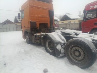 Тягачи: Тягач, DAF, 2001 г., Без прицепа — 5