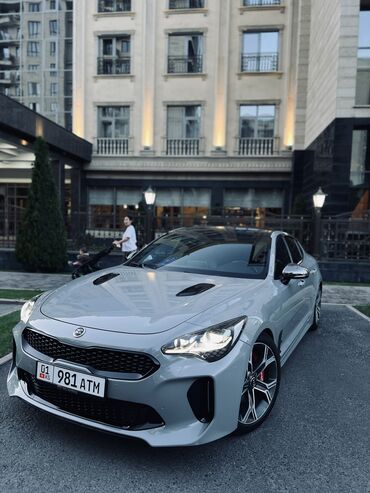 купить мотоблок мтз бу в москве: Kia : 2017 г., 3.3 л, Автомат, Бензин