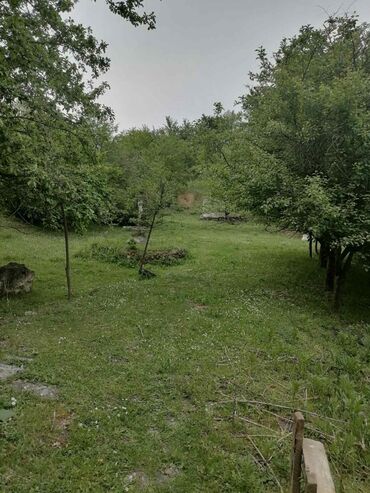 Prodaja zemljišta: Prodajem ili bih menjao tri vezana placa u Loznici od 30 ari sa — 13