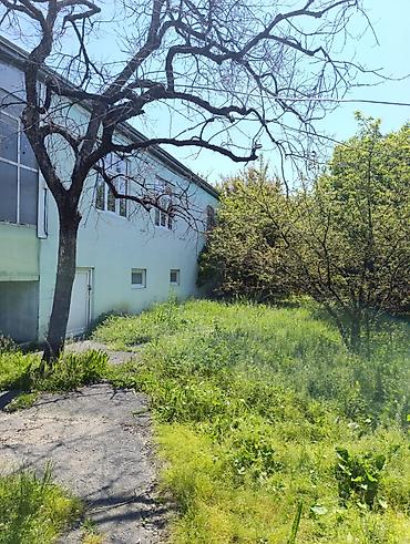 kredit ile: 4 otaqlı, 100 kv. m, Kredit yoxdur, Orta təmir — 5
