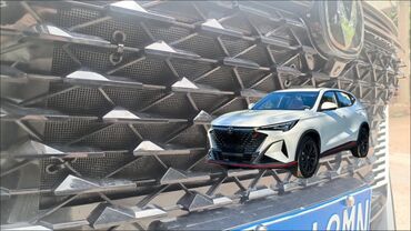брызговики универсальный: Решетка радиатора Changan Новый, Оригинал