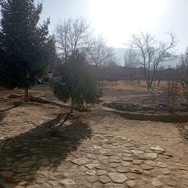 Продажа участков: 25 соток — 10