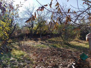 Продажа домов: Дом, 50 м², 3 комнаты, Собственник, Косметический ремонт — 9