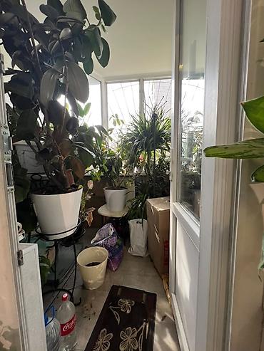 4 bedroom: 3 комнаты, 64 м², 104 серия, 1 этаж, Косметический ремонт — 10