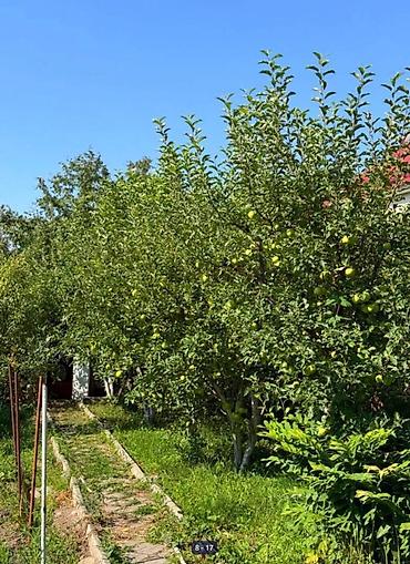 Продажа дач: 🚨🔥 СРОЧНО! ДАЧА МЕЧТЫ В КОЙ-ТАШЕ — ЗАЕЗЖАЙ И ОТДЫХАЙ УЖЕ СЕГОДНЯ! 🔥🚨 — 10