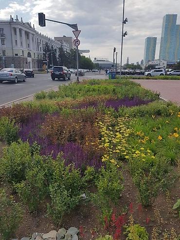 Удобрения и садовая химия: Удобрение Самовывоз — 13