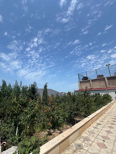 Bağ evlərinin satışı: Digah, 200 kv. m, 4 otaqlı, Hovuzlu, Kombi, Qaz, İşıq — 7