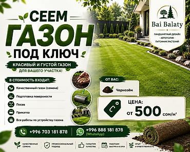 Сеем газон «под ключ» для участка любой сложности. Что делаем: -