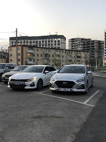 bwb e34: Hyundai Sonata: 2019 г., 2 л, Автомат, Газ, Седан — 1