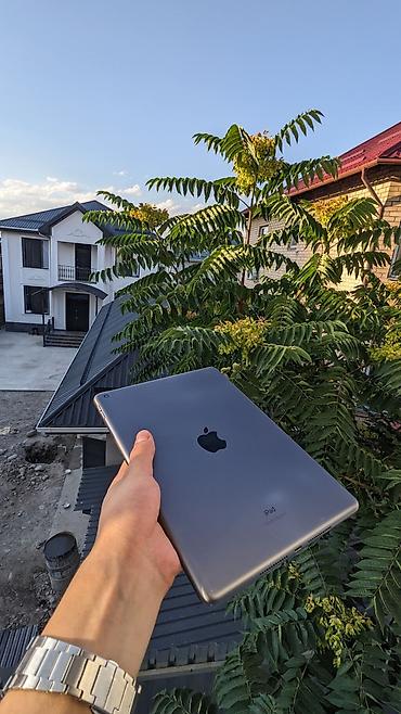 socket 1155: Планшет, Apple, память 64 ГБ, 9" - 10", Wi-Fi, Б/у, Классический цвет - Серый — 5