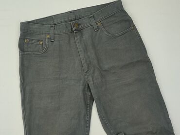 spodnie do szarej marynarki: LeviS, Jeans for men