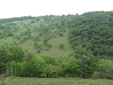 Torpaq sahələrinin satışı: TƏCİLİ SATILIR! 12 sot torpaq sahəsində yerləşən 2 otaqlı tikili -da lalafo.az — 12 Torpaq sahələrinin satışı: TƏCİLİ SATILIR! 12 sot torpaq sahəsində yerləşən 2 otaqlı tikili — 12