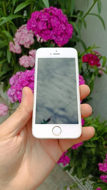 ayfon 4: IPhone SE, 32 ГБ, Белый