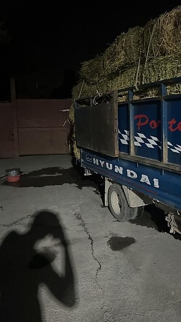 косим кукурузу: Продажа/поставка сена в тюках. - Сено прессованное в стандартные — 2