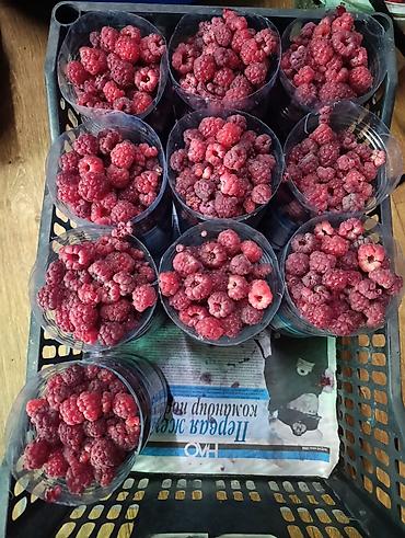 икра сельди: Малина В розницу — 3