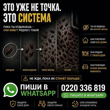клининн: Профессиональная дезинсекция от тараканов и клопов - Полная — 1