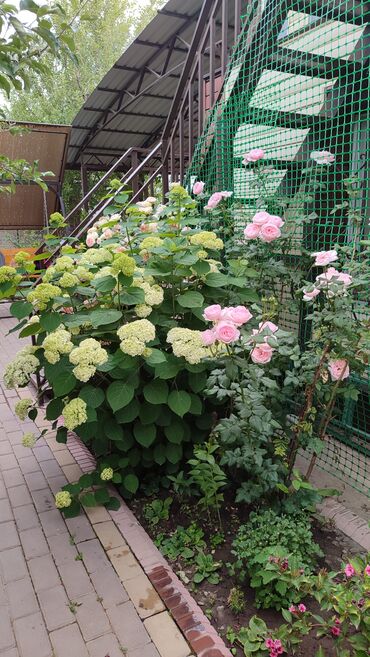 Продажа домов: Дача, 140 м², 5 комнат, Собственник — 12