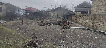 Torpaq sahələrinin satışı: Tikinti -da lalafo.az — 5 Torpaq sahələrinin satışı: Tikinti — 5