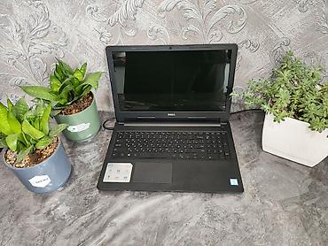 Ноутбуки Dell: Б/у, Intel Core i3 — 2