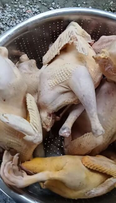 Quş: Məhsul: Təmizlənmiş kənd toyuqları (tam karkas) Təsvir: - Şəkillərdə — 1