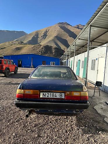 литые диски опель омега б: Audi 100: 1989 г., Седан — 3