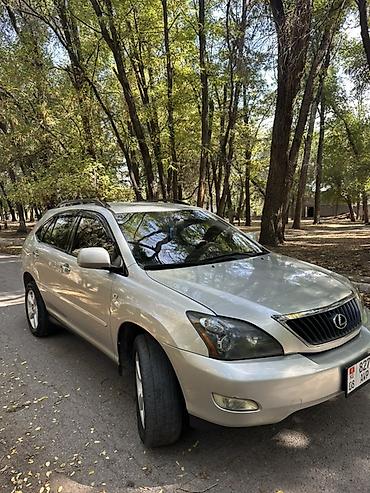 Lexus: Lexus RX: 2006 г., 3.5 л, Автомат, Бензин, Кроссовер — 3