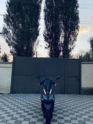 Скутеры: 🔥 SAMURAI BENALI 180 КУБОВ 🔥 Продаю свой Samurai Benali 180cc в — 39