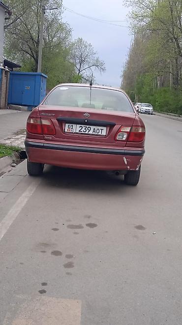 gilera runner: Nissan Almera: 2001 г., 1.5 л, Механика, Седан — 3