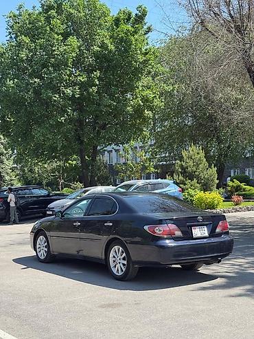 corolla 2016: Toyota Camry: 2002 г., 3 л, Автомат, Бензин, Седан — 6