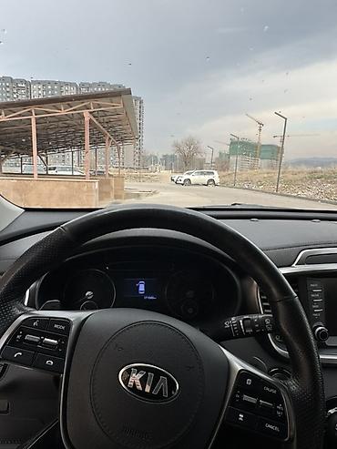 сажевый: Kia Sorento: 2019 г., 2 л, Автомат, Дизель, Кроссовер — 8