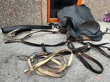 канай: Спорт үчүн башка товарлар — 2