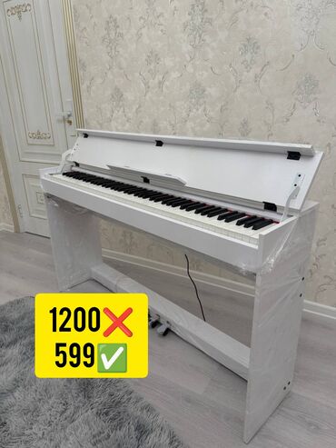 scholze piano: Piano, Rəqəmsal, Yeni