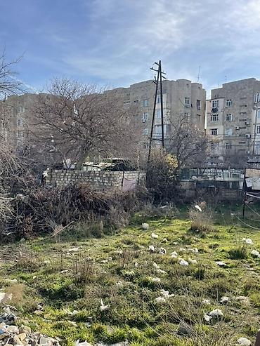 salyan: 10 sot, Makler, Kupça (Çıxarış) — 2