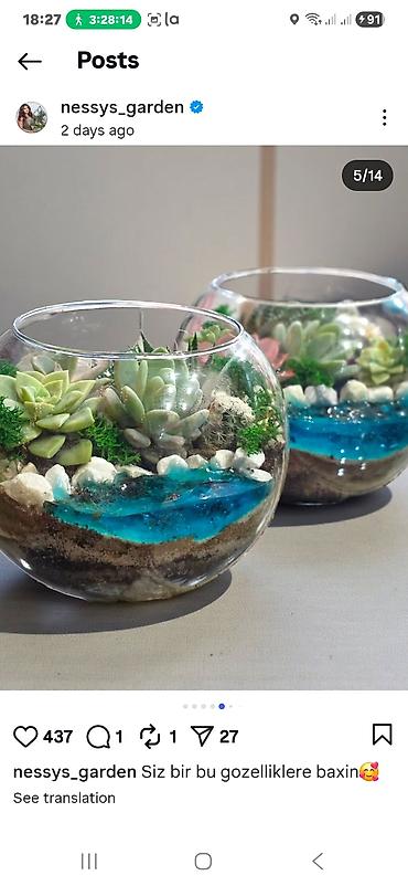 Bitkilər üçün dibçəklər: Şüşə akvarium formalı terrarium kompozisiyaları - Şəffaf şüşə qabda — 1