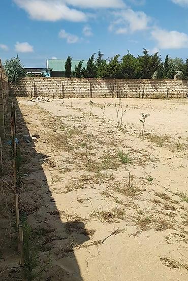 türkanda ev: 12 sot, Mülkiyyətçi, Kupça (Çıxarış) — 3
