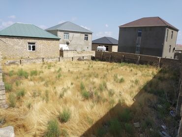 Torpaq sahələrinin satışı: 6 sot, Kənd təsərrüfatı, Mülkiyyətçi, Kupça (Çıxarış), Texniki pasport — 3