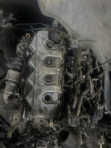 контрактный двигатель: Дизельный мотор Nissan 2004 г., 2.2 л, Б/у, Оригинал, Япония