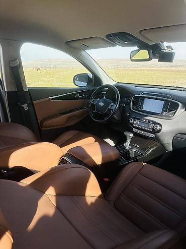 Kia: Kia Sorento: 2019 г., 2.2 л, Автомат, Дизель, Кроссовер — 12
