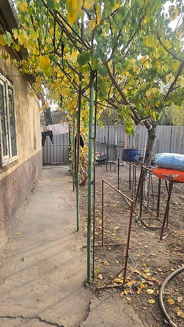 Продажа домов: Дом, 6 м², 5 комнат, Риэлтор — 5