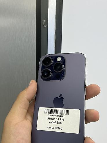 16 pro iphone: IPhone 14 Pro, Б/у, 256 ГБ, Deep Purple, Защитное стекло, Чехол, В рассрочку, 88 % — 3